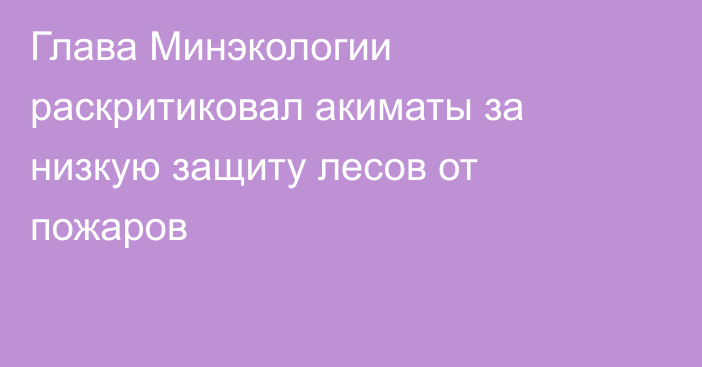 Глава Минэкологии раскритиковал акиматы за низкую защиту лесов от пожаров