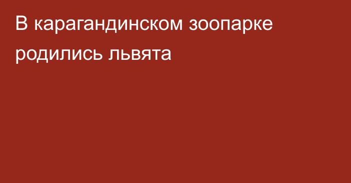 В карагандинском зоопарке родились львята