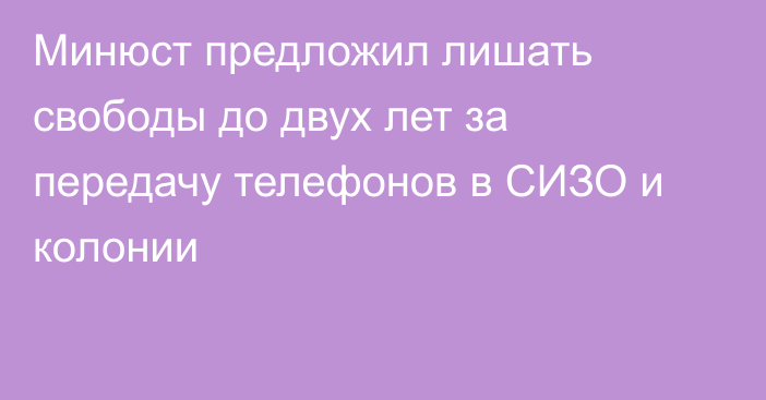 Минюст предложил лишать свободы до двух лет за передачу телефонов в СИЗО и колонии