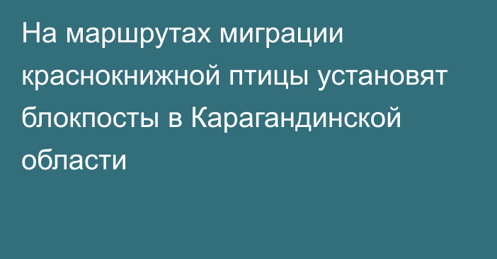 На маршрутах миграции краснокнижной птицы установят блокпосты в Карагандинской области