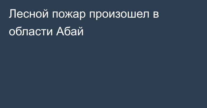 Лесной пожар произошел в области Абай