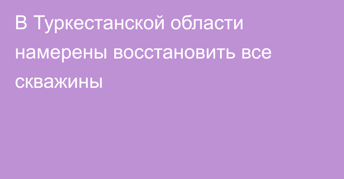 В Туркестанской области намерены восстановить все скважины