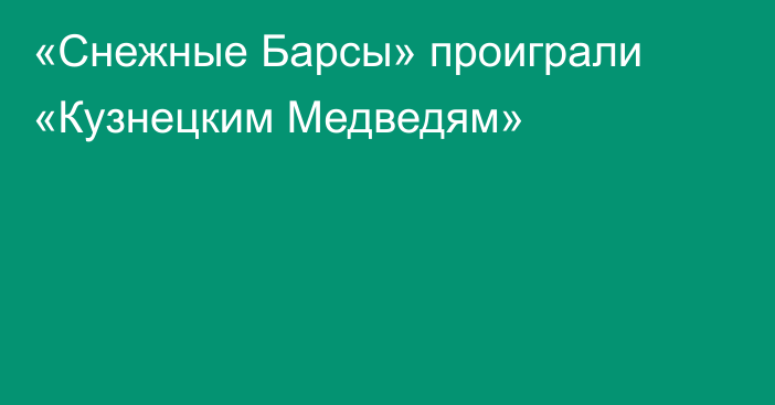 «Снежные Барсы» проиграли «Кузнецким Медведям»