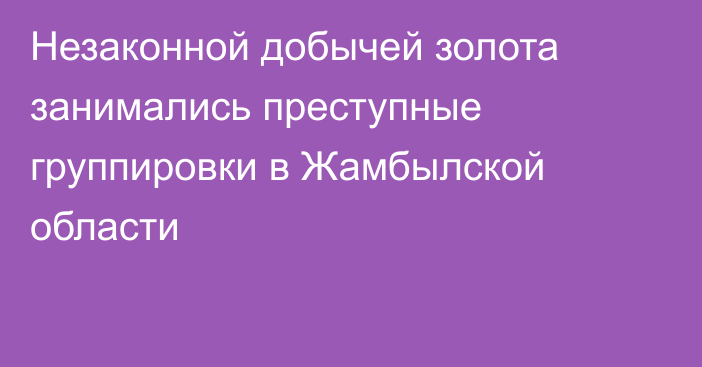 Незаконной добычей золота занимались преступные группировки в Жамбылской области