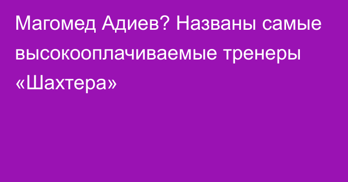 Магомед Адиев? Названы самые высокооплачиваемые тренеры «Шахтера»