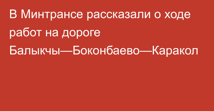 В Минтрансе рассказали о ходе работ на дороге Балыкчы—Боконбаево—Каракол