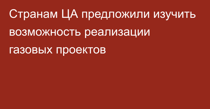 Странам ЦА предложили изучить возможность реализации газовых проектов