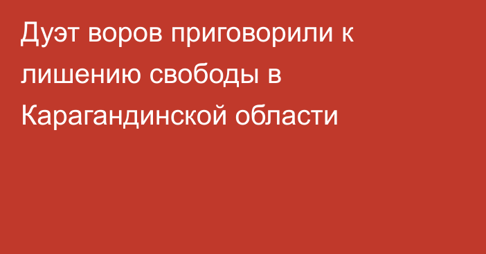 Дуэт воров приговорили к лишению свободы в Карагандинской области