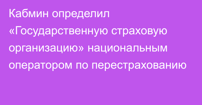 Кабмин определил «Государственную страховую организацию» национальным оператором по перестрахованию