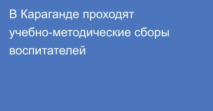 В Караганде  проходят  учебно-методические сборы воспитателей