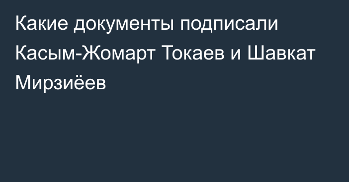 Какие документы подписали Касым-Жомарт Токаев и Шавкат Мирзиёев