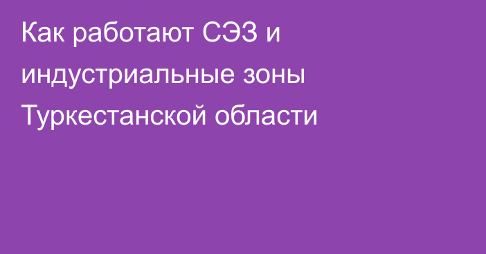 Как работают СЭЗ и индустриальные зоны Туркестанской области