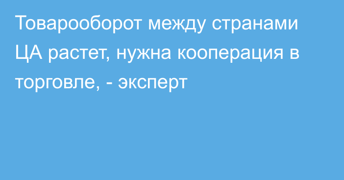 Товарооборот между странами ЦА растет, нужна кооперация в торговле, - эксперт