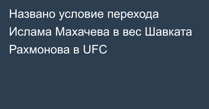 Названо условие перехода Ислама Махачева в вес Шавката Рахмонова в UFC