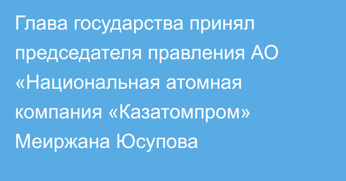 Глава государства принял председателя правления АО «Национальная атомная компания «Казатомпром» Меиржана Юсупова