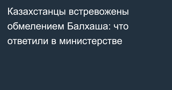 Казахстанцы встревожены обмелением Балхаша: что ответили в министерстве