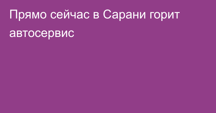 Прямо сейчас в Сарани горит автосервис