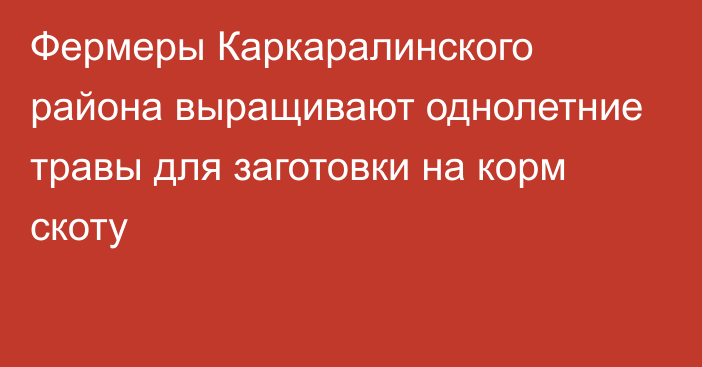 Фермеры Каркаралинского района выращивают однолетние травы для заготовки на корм скоту