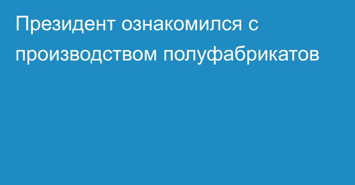 Президент ознакомился с производством полуфабрикатов