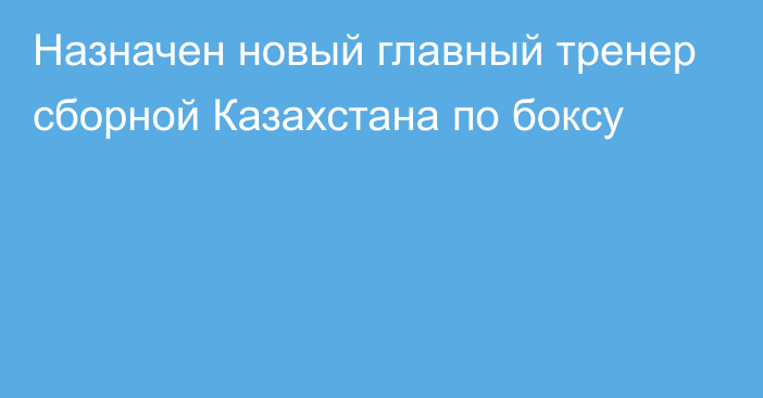 Назначен новый главный тренер сборной Казахстана по боксу