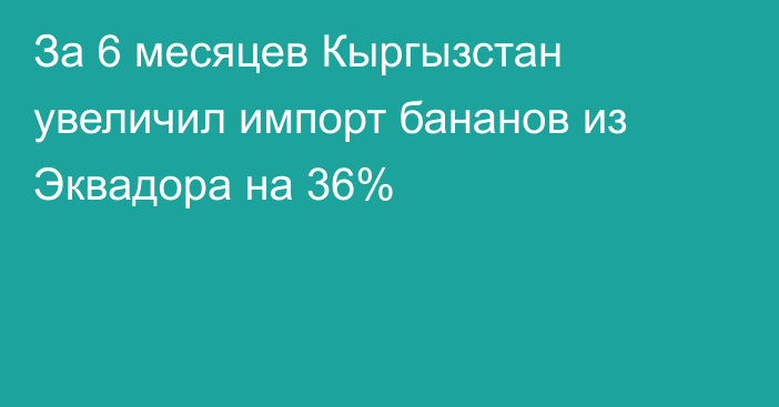 За 6 месяцев Кыргызстан увеличил импорт бананов из Эквадора на 36%