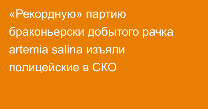 «Рекордную» партию браконьерски добытого рачка artemia salina изъяли полицейские в СКО