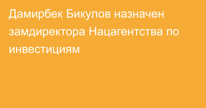 Дамирбек Бикулов назначен замдиректора Нацагентства по инвестициям