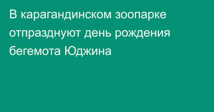 В карагандинском зоопарке отпразднуют день рождения бегемота Юджина