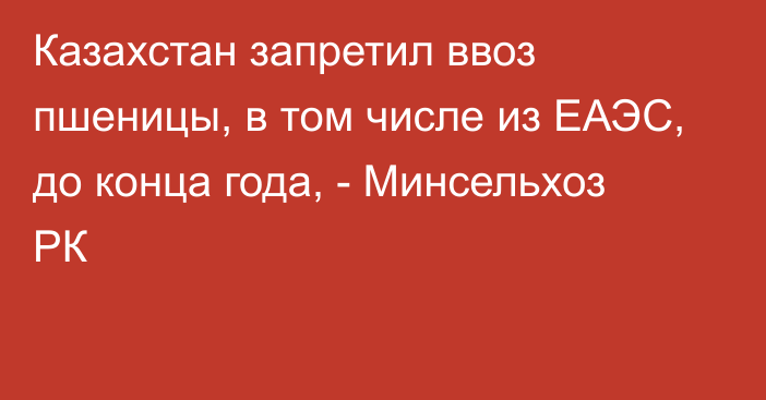 Казахстан запретил ввоз пшеницы, в том числе из ЕАЭС, до конца года, - Минсельхоз РК