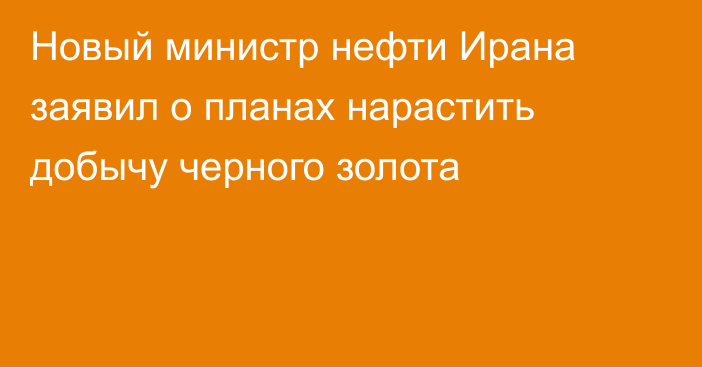 Новый министр нефти Ирана заявил о планах нарастить добычу черного золота