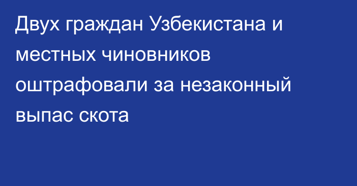 Двух граждан Узбекистана и местных чиновников оштрафовали за незаконный выпас скота