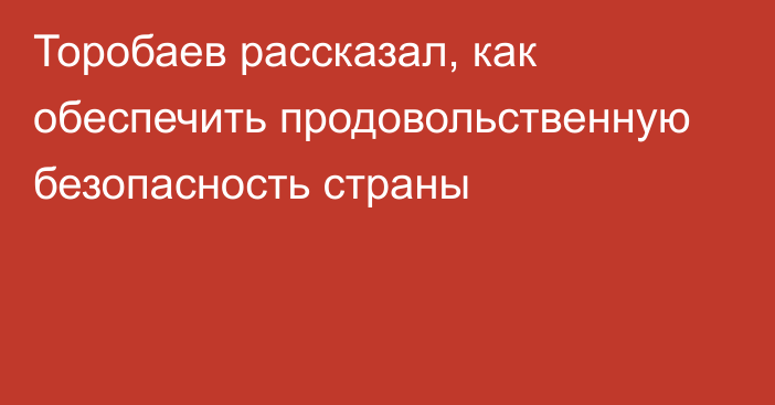 Торобаев рассказал, как обеспечить продовольственную безопасность страны