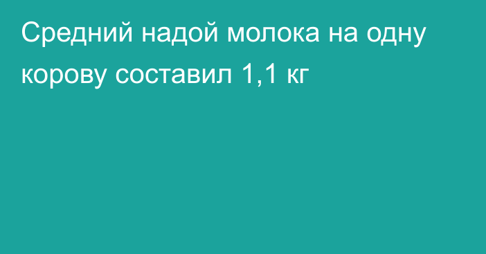 Средний надой молока на одну корову составил 1,1 кг