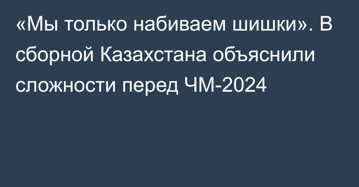 «Мы только набиваем шишки». В сборной Казахстана объяснили сложности перед ЧМ-2024