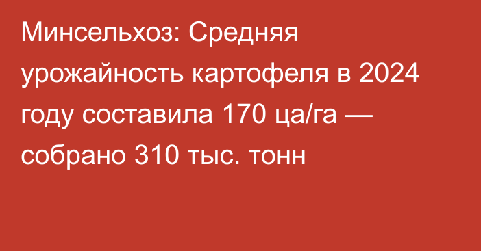 Минсельхоз: Средняя урожайность картофеля в 2024 году составила 170 ца/га — собрано 310 тыс. тонн