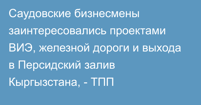 Саудовские бизнесмены заинтересовались проектами ВИЭ, железной дороги и выхода в Персидский залив Кыргызстана, - ТПП