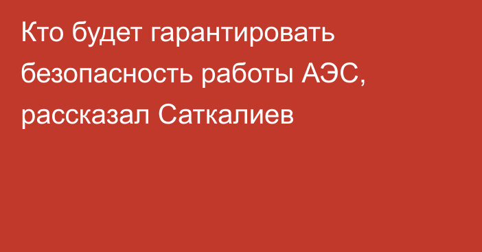 Кто будет гарантировать безопасность работы АЭС, рассказал Саткалиев