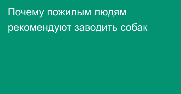 Почему пожилым людям рекомендуют заводить собак