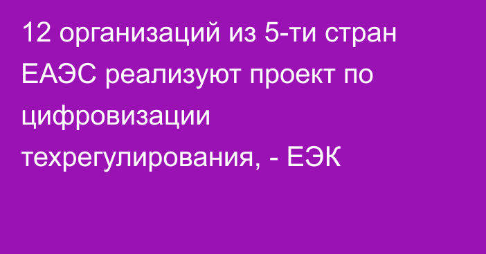 12 организаций из 5-ти стран ЕАЭС реализуют проект по цифровизации техрегулирования, - ЕЭК