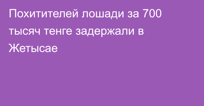 Похитителей лошади за 700 тысяч тенге задержали в Жетысае