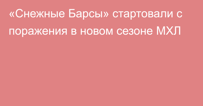 «Снежные Барсы» стартовали с поражения в новом сезоне МХЛ