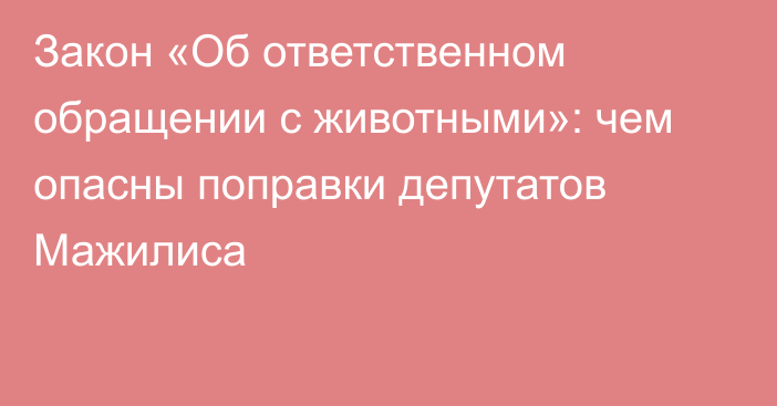 Закон «Об ответственном обращении с животными»: чем опасны поправки депутатов Мажилиса