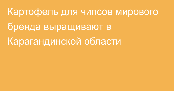 Картофель для чипсов мирового бренда выращивают в Карагандинской области