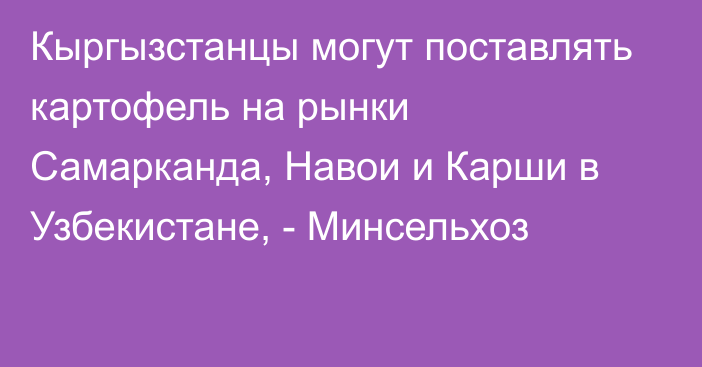 Кыргызстанцы могут поставлять картофель на рынки Самарканда, Навои и Карши в Узбекистане, - Минсельхоз