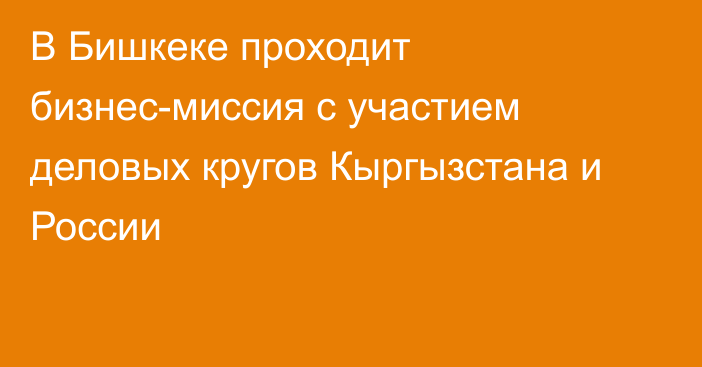 В Бишкеке проходит бизнес-миссия с участием деловых кругов Кыргызстана и России