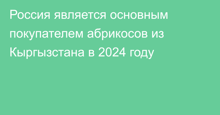 Россия является основным покупателем абрикосов из Кыргызстана в 2024 году