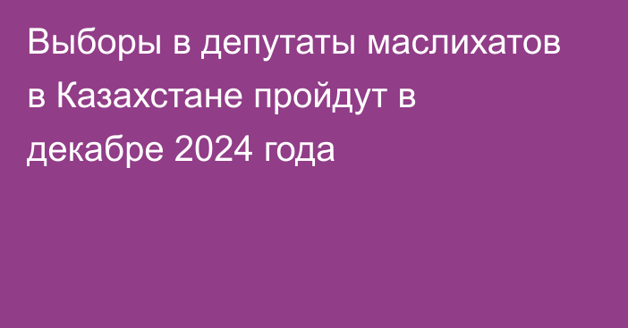 Выборы в депутаты маслихатов в Казахстане пройдут в декабре 2024 года