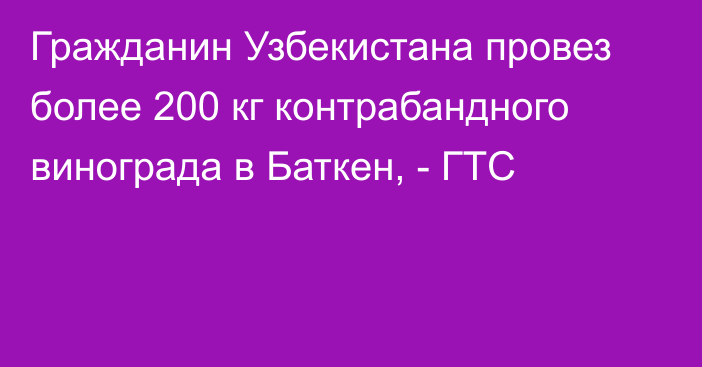 Гражданин Узбекистана провез более 200 кг контрабандного винограда в Баткен, - ГТС