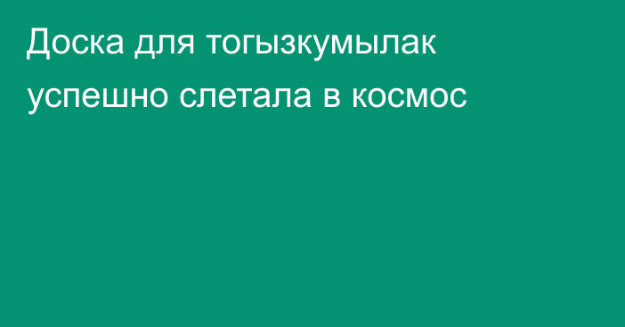 Доска для тогызкумылак успешно слетала в космос