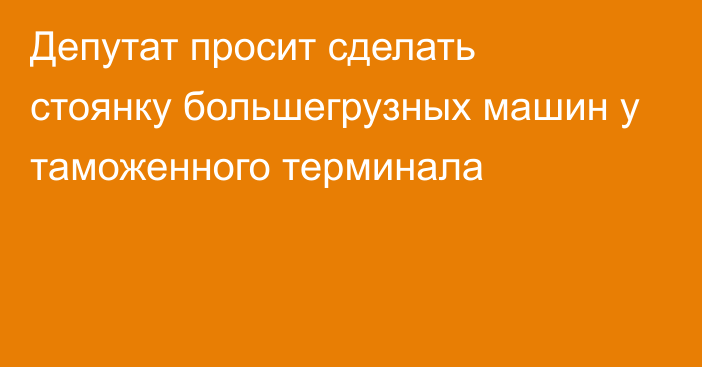 Депутат просит сделать стоянку большегрузных машин у таможенного терминала